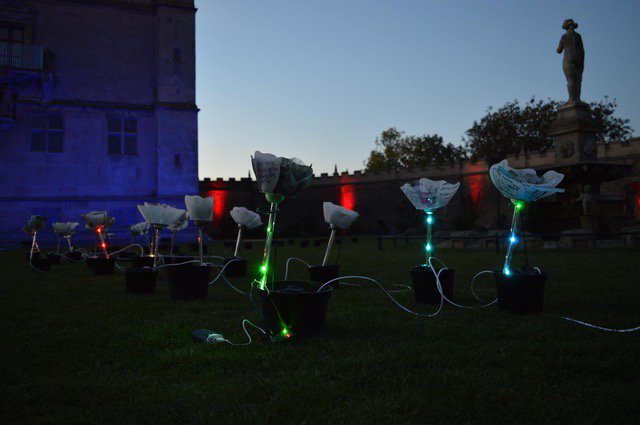 digital rose garden installed at bolsover castle