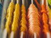 orange and yellow embroidery thread